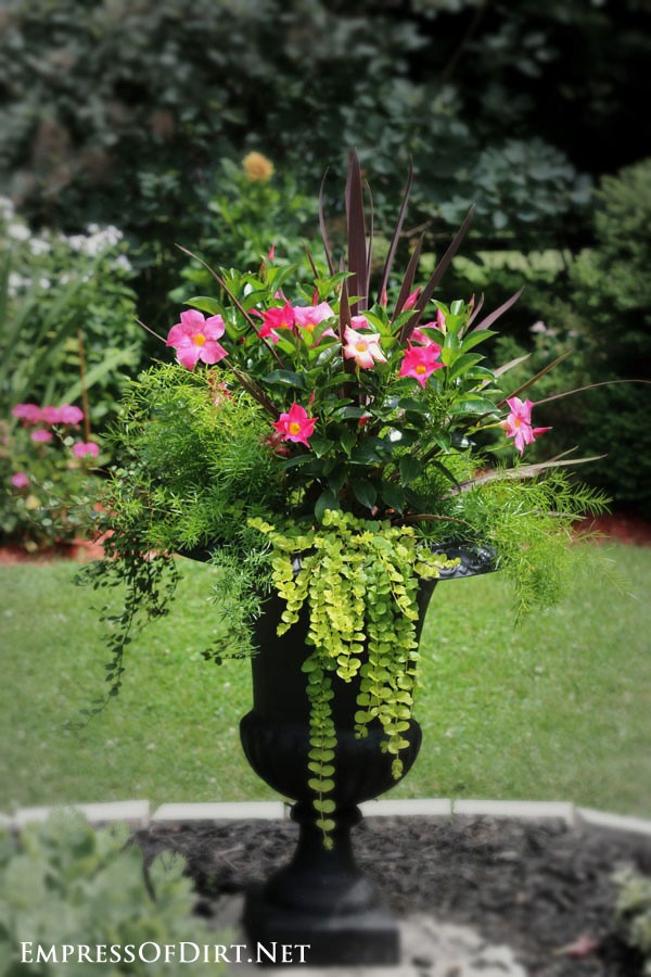 flower-pot-arrangement-ideas-63_18 Идеи за саксия за цветя