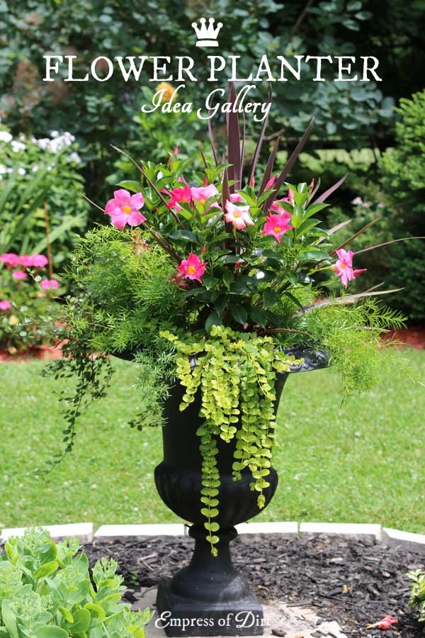 flower-pot-arrangement-ideas-63_6 Идеи за саксия за цветя