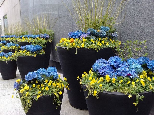 flower-pot-arrangements-for-the-patio-20_10 Цветни саксии за вътрешния двор
