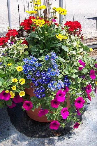 flower-pot-arrangements-for-the-patio-20_16 Цветни саксии за вътрешния двор