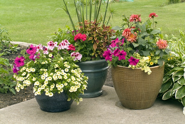 flower-pot-arrangements-for-the-patio-20_3 Цветни саксии за вътрешния двор