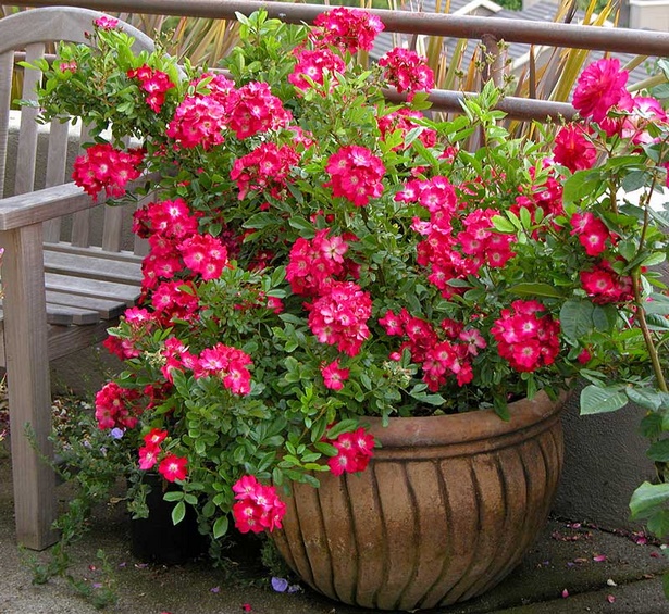 flower-pot-arrangements-outdoor-36_13 Саксия за цветя на открито