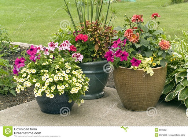flower-pot-arrangements-77_20 Аранжировки за саксии