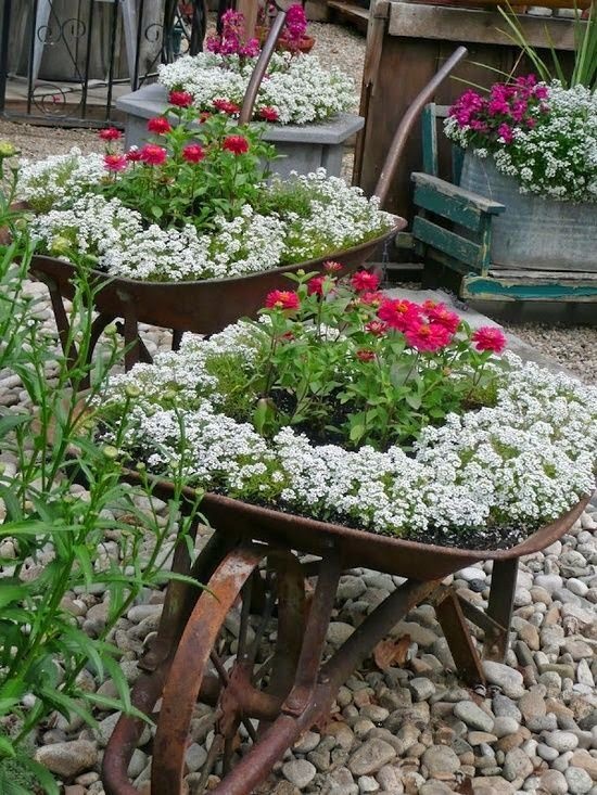 flower-pot-garden-ideas-07_9 Саксия градински идеи