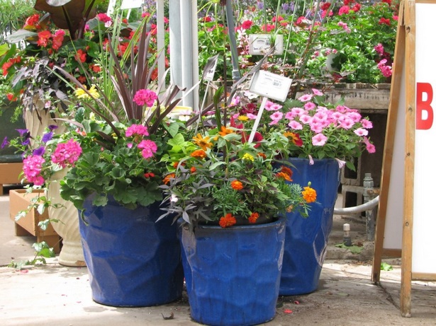 flower-pot-ideas-for-front-porch-80_12 Саксия за цветя Идеи за предната веранда