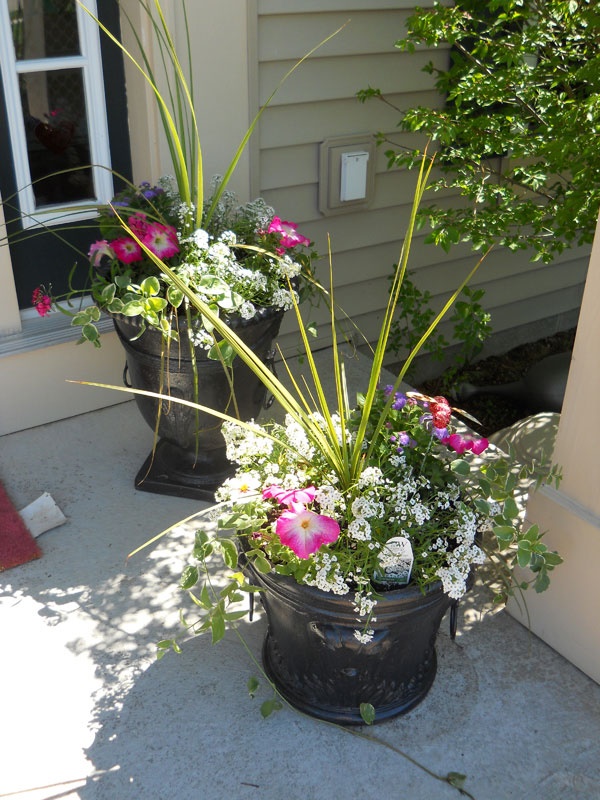 flower-pot-ideas-for-front-porch-80_15 Саксия за цветя Идеи за предната веранда