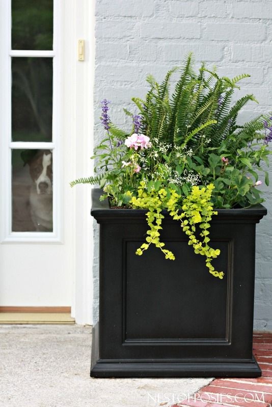 flower-pot-ideas-for-front-porch-80_17 Саксия за цветя Идеи за предната веранда