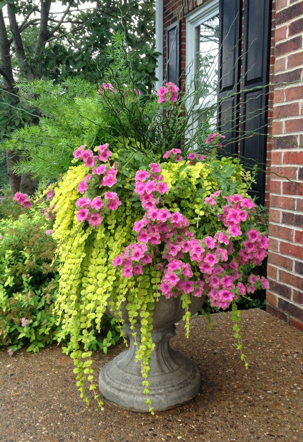 flower-pot-ideas-for-front-porch-80_2 Саксия за цветя Идеи за предната веранда