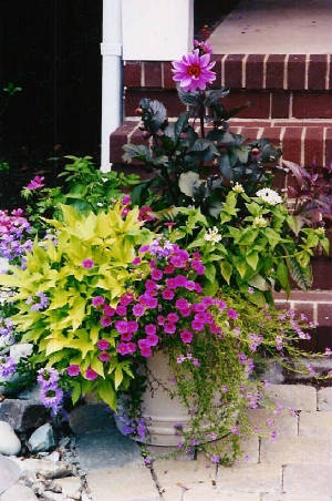 flower-pot-ideas-for-front-porch-80_9 Саксия за цветя Идеи за предната веранда