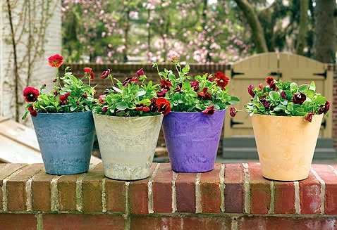 flower-pots-designs-for-home-09_19 Саксии за цветя дизайни за дома