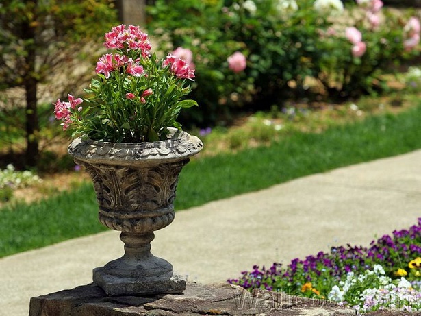 flower-pots-for-garden-58_16 Саксии за цветя за градина