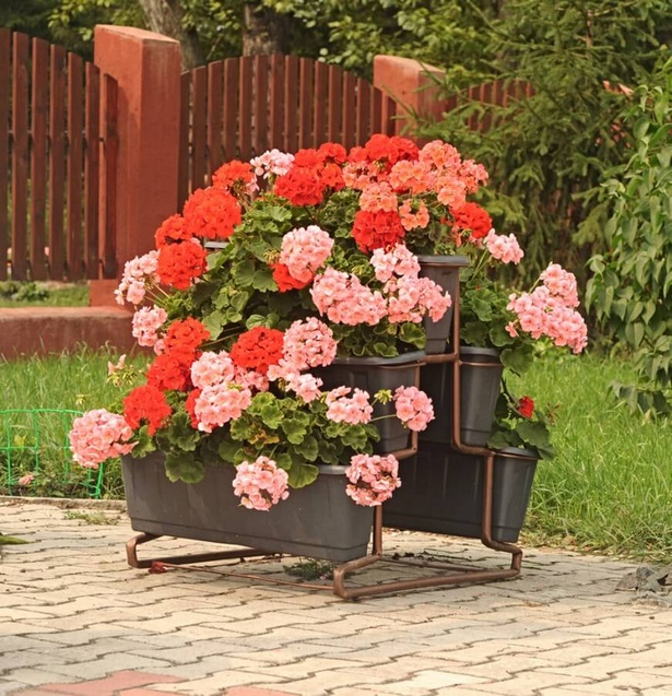 flowers-for-planters-27_12 Цветя за сеялки