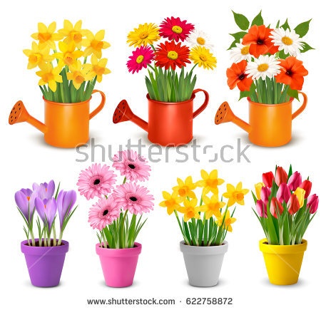 flowers-in-a-pot-45_2 Цветя в саксия