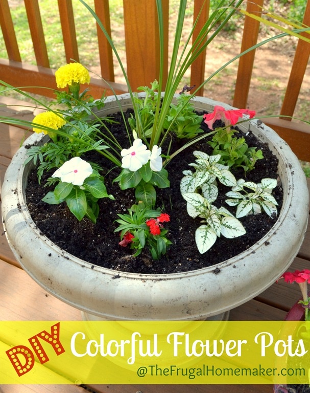 flowers-in-pots-for-outdoors-53_15 Цветя в саксии за открито
