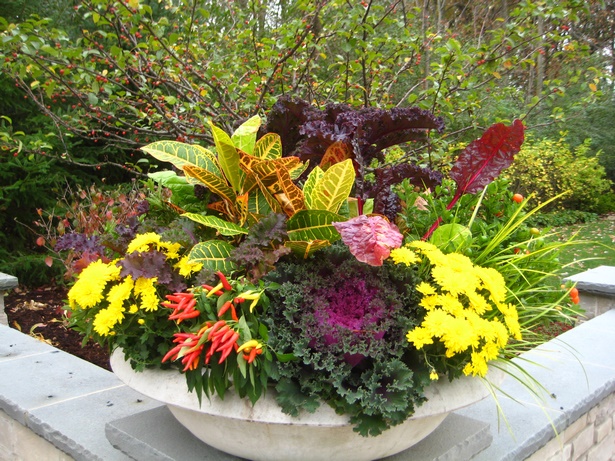 flowers-in-pots-ideas-51_14 Цветя в саксии идеи