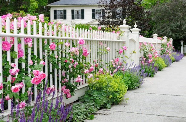 garden-fence-plants-80_12 Градина ограда растения