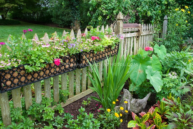 garden-fence-plants-80_13 Градина ограда растения