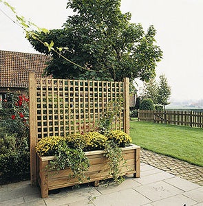 garden-fence-plants-80_19 Градина ограда растения