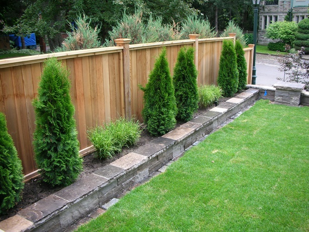 garden-fence-plants-80_6 Градина ограда растения