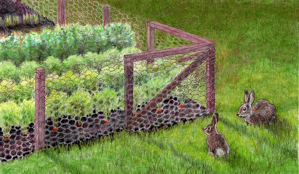 garden-fence-protection-77_17 Градинска ограда защита