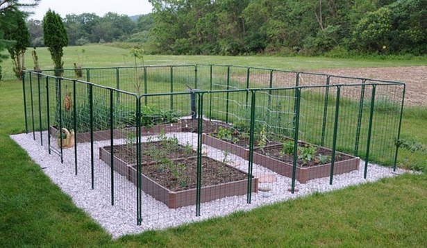 garden-fence-protection-77_6 Градинска ограда защита