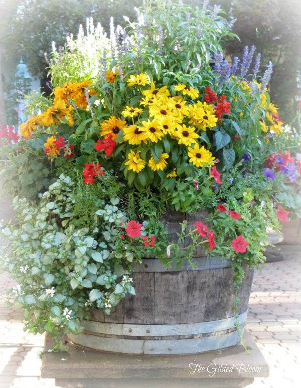 garden-flower-pots-ideas-78_6 Градински саксии за цветя Идеи