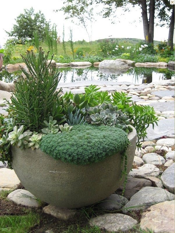garden-ideas-with-large-pots-49_18 Градински идеи с големи саксии