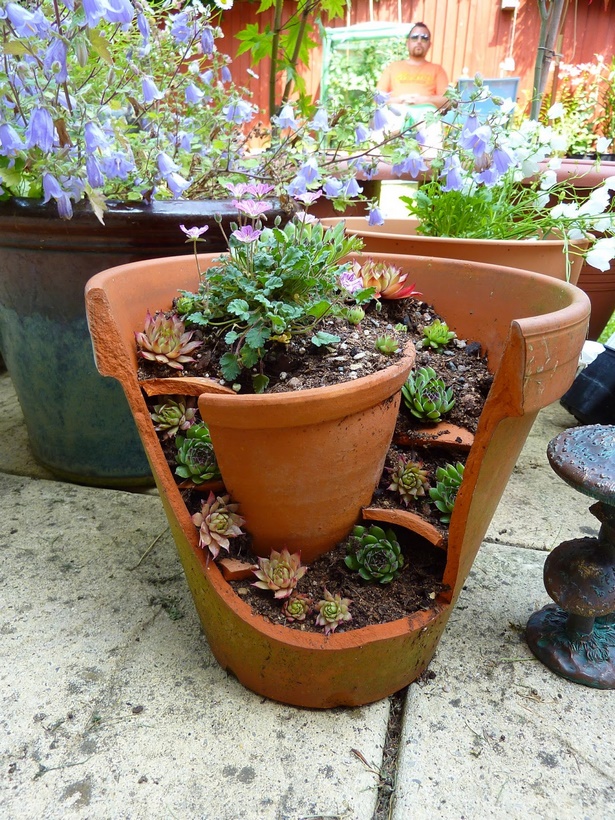garden-in-pots-ideas-84_13 Градина в саксии идеи