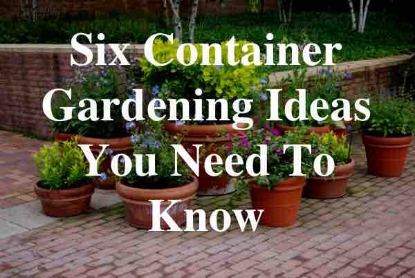 garden-in-pots-ideas-84_17 Градина в саксии идеи