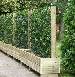 garden-partition-ideas-50_9 Идеи за разделяне на градината
