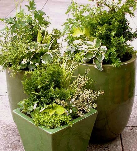 garden-plant-containers-28_3 Контейнери за градински растения