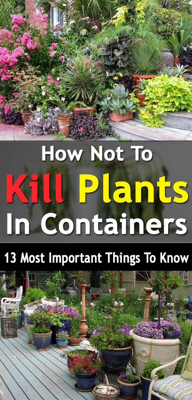 garden-plant-containers-28_8 Контейнери за градински растения