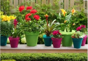 garden-plant-pots-80 Градински саксии