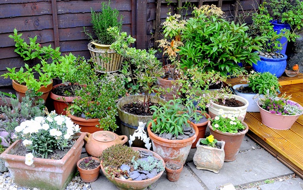 garden-plant-pots-80_11 Градински саксии