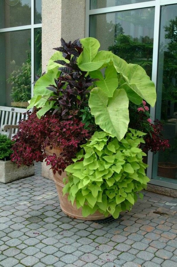 garden-pot-plant-ideas-93 Градинска саксия идеи за растения