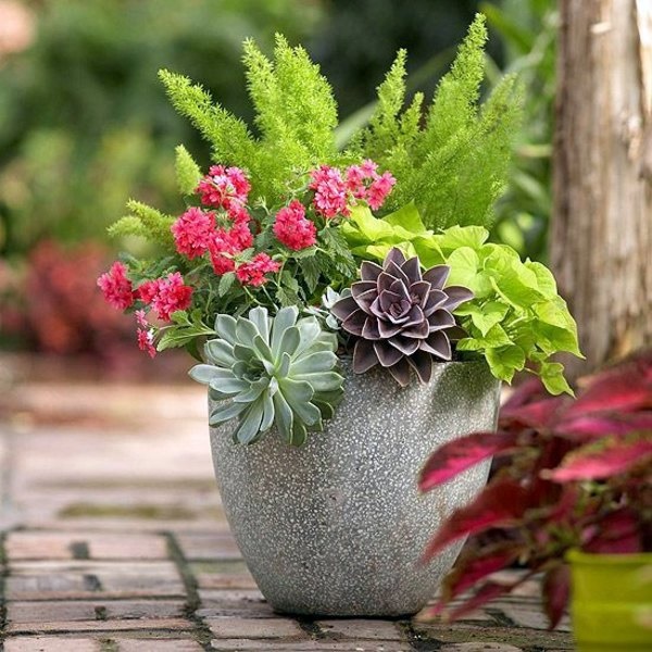 garden-pot-plant-ideas-93_14 Градинска саксия идеи за растения