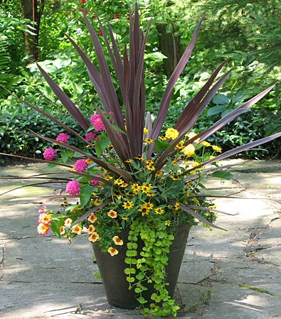 garden-pot-plant-ideas-93_17 Градинска саксия идеи за растения