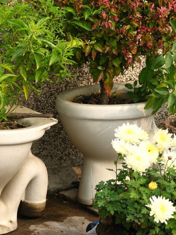 garden-pot-plant-ideas-93_7 Градинска саксия идеи за растения