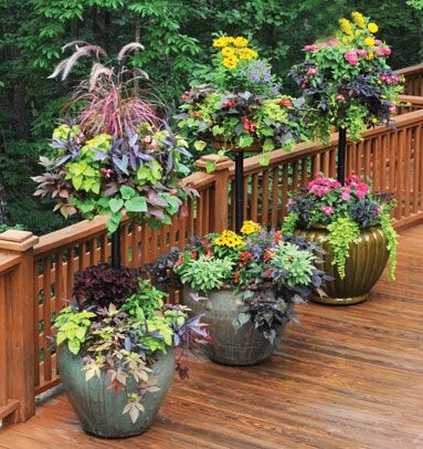 gardening-in-pots-and-containers-55_6 Градинарство в саксии и контейнери