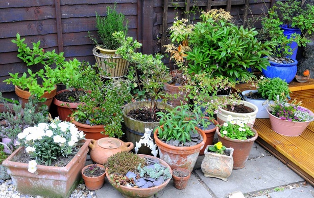gardening-pots-and-containers-12_19 Градински саксии и контейнери