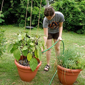 growing-a-garden-in-pots-51_2 Отглеждане на градина в саксии