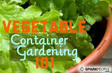 growing-vegetables-in-containers-for-beginners-81_8 Отглеждане на зеленчуци в контейнери за начинаещи