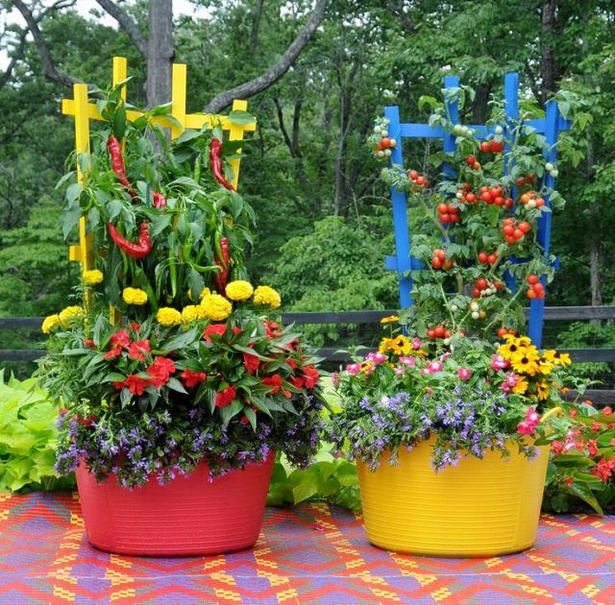 growing-vegetables-in-containers-ideas-00_18 Отглеждане на зеленчуци в контейнери идеи