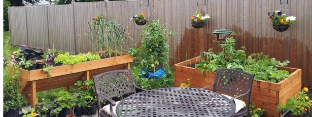 growing-vegetables-in-containers-ideas-00_7 Отглеждане на зеленчуци в контейнери идеи