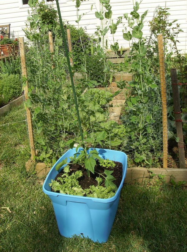 growing-vegetables-in-containers-ideas-00_9 Отглеждане на зеленчуци в контейнери идеи