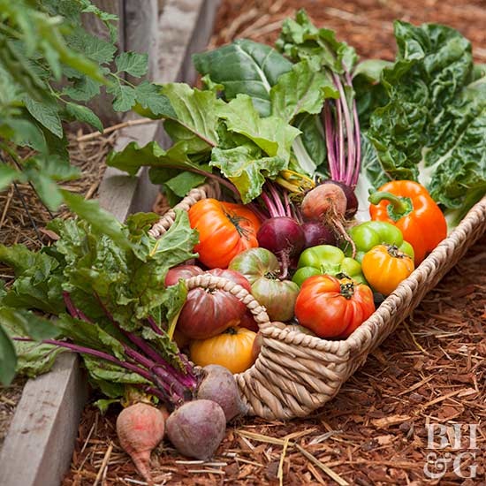 growing-vegetables-in-containers-44_11 Отглеждане на зеленчуци в контейнери