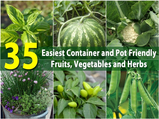 growing-vegetables-in-containers-44_9 Отглеждане на зеленчуци в контейнери