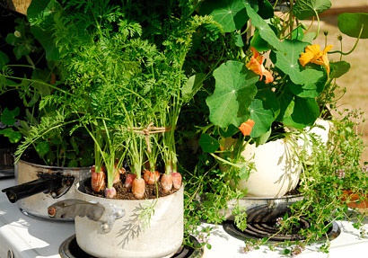 growing-vegetables-in-pots-for-beginners-49_16 Отглеждане на зеленчуци в саксии за начинаещи