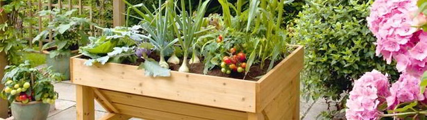 growing-vegetables-in-pots-01_18 Отглеждане на зеленчуци в саксии