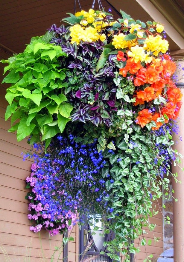 hanging-flower-pots-ideas-67_12 Висящи саксии за цветя Идеи